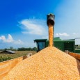 Мировой рынок зерна начал неделю бурным ростом.