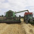 Россия может экспортировать в Китай не менее 1 млн тонн зерна