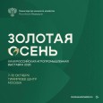«Золотая осень — 2026»