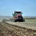 В России растет доля застрахованных посевных площадей и поголовья сельхозживотных