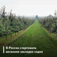 В России стартовала весенняя закладка садов