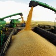 Россия с начала года экспортировала 36,2 миллиона тонн пшеницы