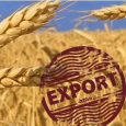 Темпы экспорта зерна из России опережают показатели рекордного сезона-2021/22