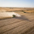 В России собрано 1,5 млн тонн зерна