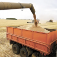В Минсельхозе России обсудили вопросы транспортировки зерна