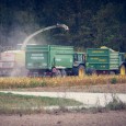 В России началась уборка кукурузы и подсолнечника