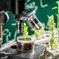 30 новых лабораторий сельхознаук планируют создать в России в 2023 году