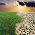 Глобальное потепление снизило темпы роста эффективности сельского хозяйства